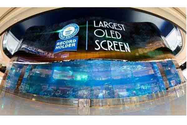 The New Era of Display: Changes and Opportunities Behind the Leap of Industry Scale to the Global First Place